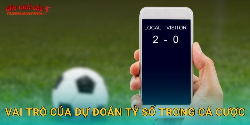 Vai trò của dự đoán tỷ số trong cá cược