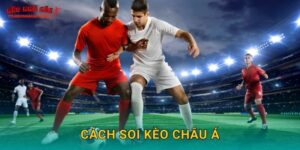 Cách soi kèo châu Á chuẩn xác tại Tylekeonhacai