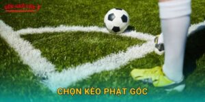 Chọn kèo phạt góc hấp dẫn tại Tylekeonhacai