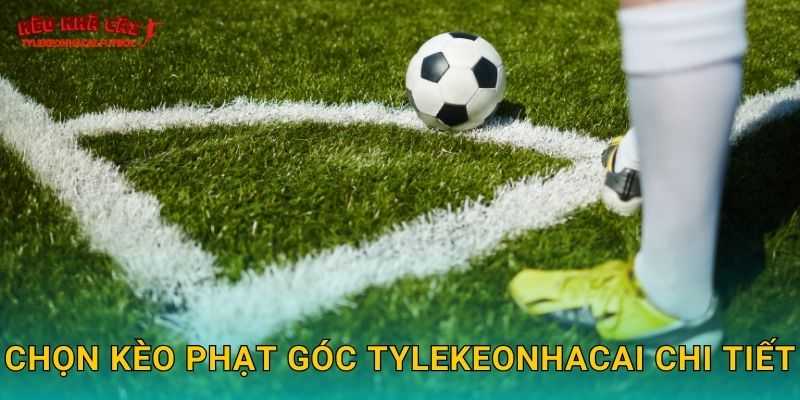 Chọn kèo phạt góc Tylekeonhacai chi tiết