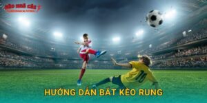 Hướng dẫn bắt kèo rung chuẩn xác tại Tylekeonhacai