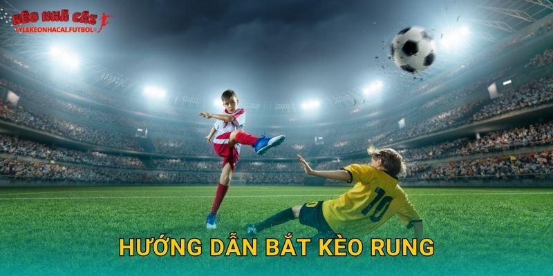 Hướng dẫn bắt kèo rung chuẩn xác tại Tylekeonhacai
