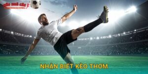 Nhận biết kèo thơm dễ thắng tại Tylekeonhacai