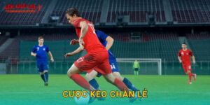 Cược kèo chẵn lẻ hấp dẫn tại Tylekeonhacai