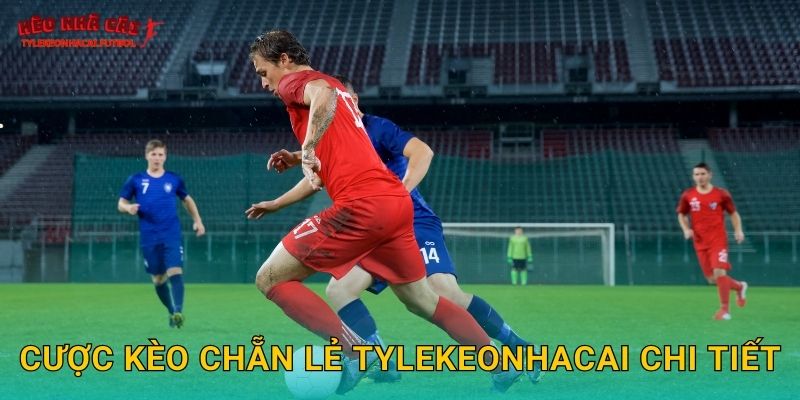 Cược kèo chẵn lẻ Tylekeonhacai chi tiết