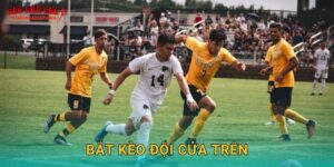 Bắt kèo đội cửa trên hiệu quả tại Tylekeonhacai