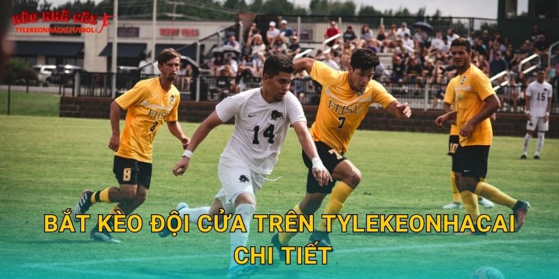 Bắt kèo đội cửa trên Tylekeonhacai chi tiết