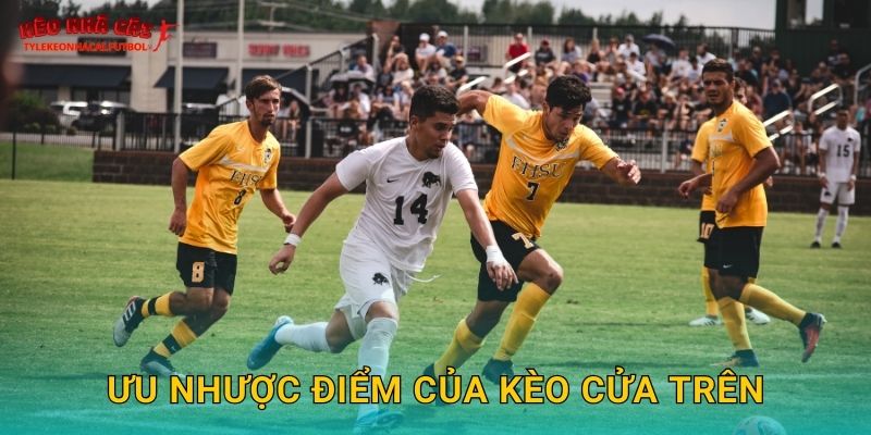 Ưu nhược điểm của kèo cửa trên