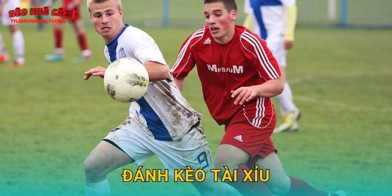 Đánh kèo tài xỉu dễ hiểu tại Tylekeonhacai cho người mới