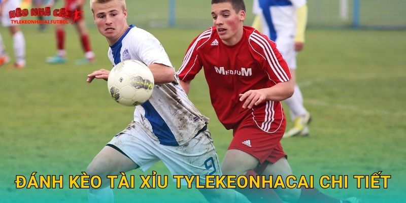 Đánh kèo tài xỉu Tylekeonhacai chi tiết