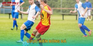 Cược xiên bóng đá sinh lợi cao tại Tylekeonhacai