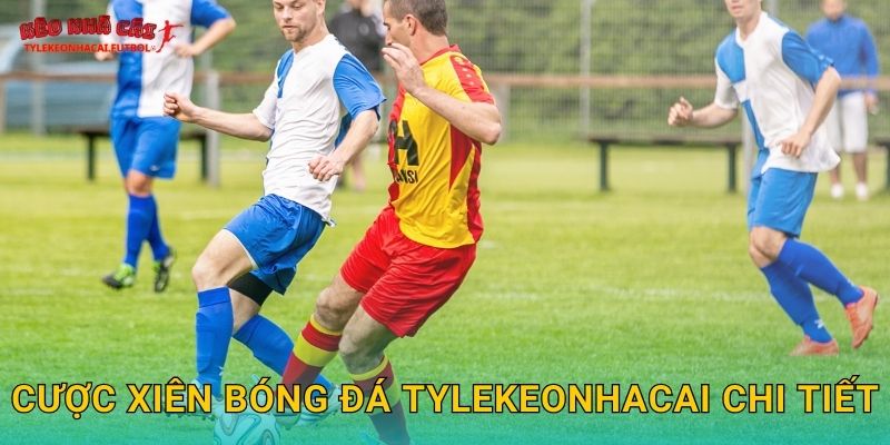 Cược xiên bóng đá Tylekeonhacai chi tiết