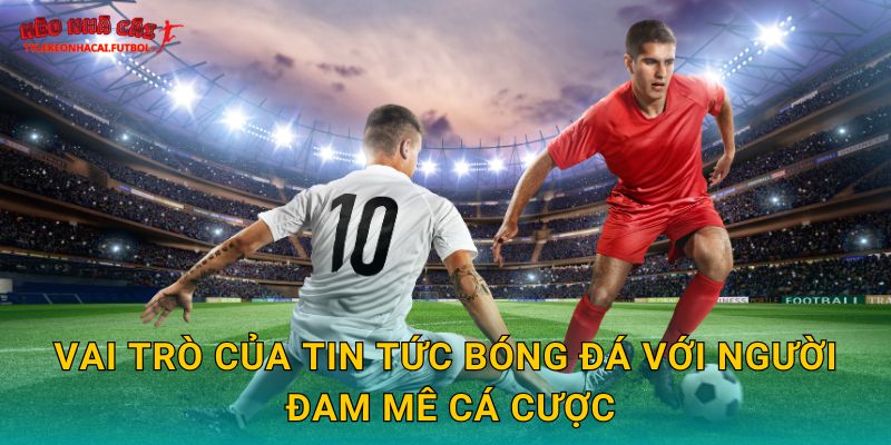 Vai trò của tin tức bóng đá với người đam mê cá cược