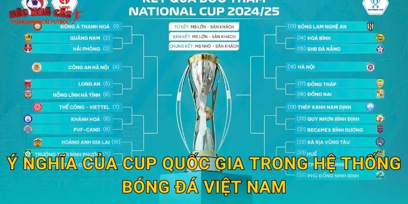 Ý nghĩa của Cup Quốc gia trong hệ thống bóng đá Việt Nam