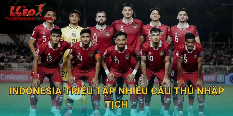 Indonesia Triệu Tập Nhiều Cầu Thủ Nhập Tịch: Mối Đe Dọa Với Đối Thủ Khu Vực Trên Tylekeonhacai