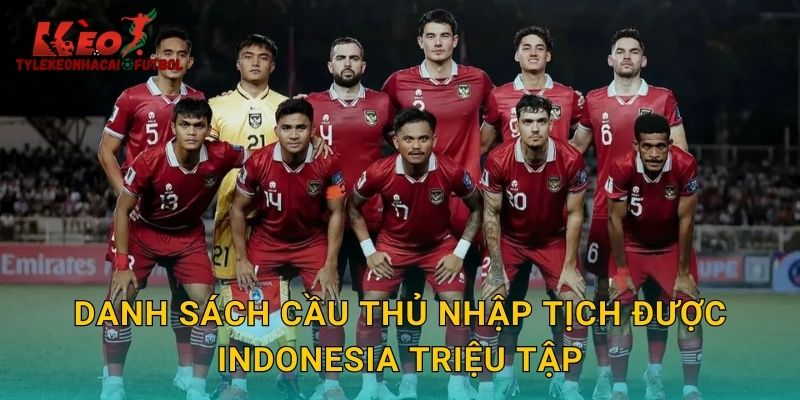 Danh sách cầu thủ nhập tịch được Indonesia triệu tập