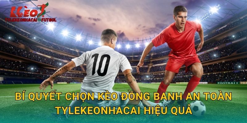 Bí quyết chọn kèo đồng banh an toàn tylekeonhacai hiệu quả