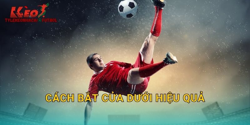 Cách Bắt Cửa Dưới Hiệu Quả: Lối Chơi An Toàn Trên Tylekeonhacai