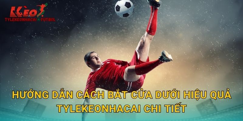 Hướng dẫn cách bắt cửa dưới hiệu quả tylekeonhacai chi tiết