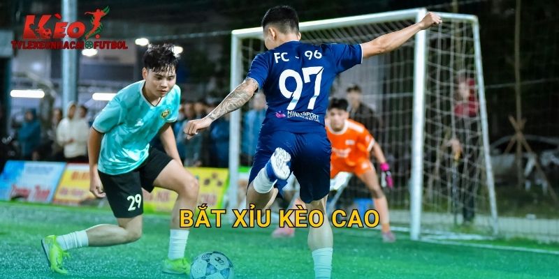 Bắt Xỉu Kèo Cao: Nghệ Thuật Kiếm Lời Từ Tylekeonhacai