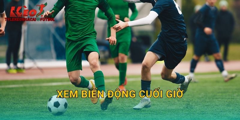 Xem Biến Động Cuối Giờ: Bắt Sóng Thị Trường Tại Tylekeonhacai