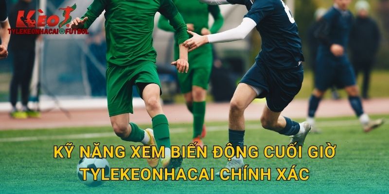 Kỹ năng xem biến động cuối giờ tylekeonhacai chính xác