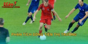 Phân Tích Dòng Tiền Thị Trường: Theo Dấu Chân Chuyên Gia Tại Tylekeonhacai