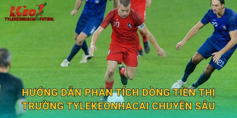 Hướng dẫn phân tích dòng tiền thị trường tylekeonhacai chuyên sâu