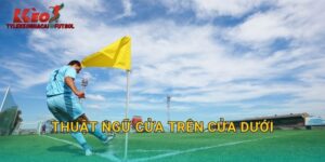 Thuật Ngữ Cửa Trên Cửa Dưới: Kiến Thức Nền Tảng Cho Tylekeonhacai