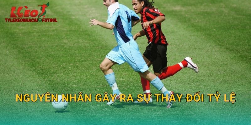Nguyên nhân gây ra sự thay đổi tỷ lệ