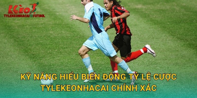 Kỹ năng hiểu biến động tỷ lệ cược tylekeonhacai chính xác