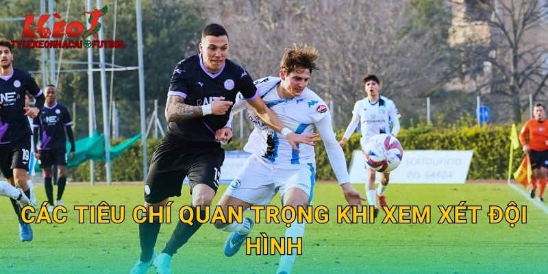 Các tiêu chí quan trọng khi xem xét đội hình