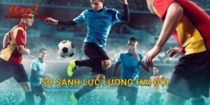 So Sánh Lực Lượng Hai Đội: Bước Đầu Quan Trọng Tại Tylekeonhacai