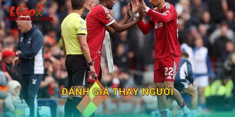 Đánh Giá Thay Người: Yếu Tố Quyết Định Cược Live Trên Tylekeonhacai