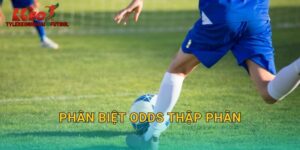 Phân Biệt Odds Thập Phân: Đọc Tỷ Lệ Chính Xác Tại Tylekeonhacai