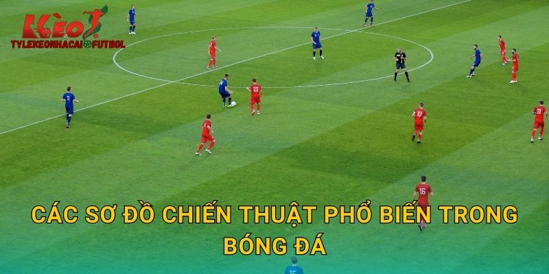 Các sơ đồ chiến thuật phổ biến trong bóng đá