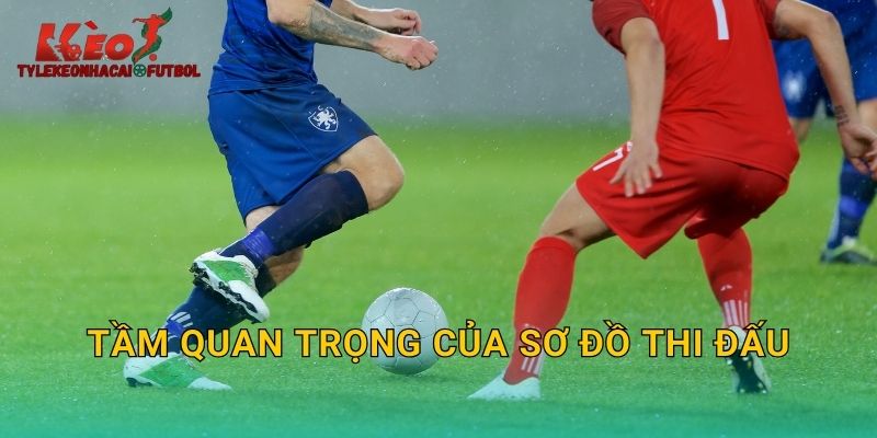 Tầm quan trọng của sơ đồ thi đấu