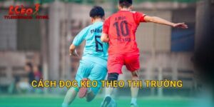 Cách Đọc Kèo Theo Thị Trường: Theo Dõi Xu Hướng Tại Tylekeonhacai