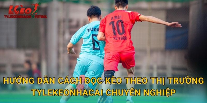 Hướng dẫn cách đọc kèo theo thị trường tylekeonhacai chuyên nghiệp