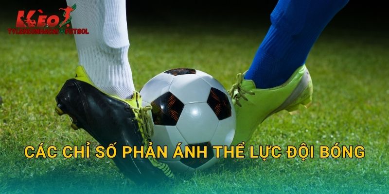 Các chỉ số phản ánh thể lực đội bóng