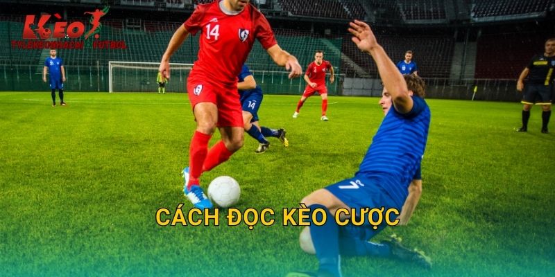 Cách Đọc Kèo Cược: Hướng Dẫn Toàn Diện Từ Tylekeonhacai