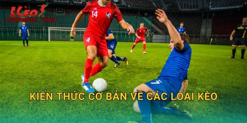 Kiến thức cơ bản về các loại kèo