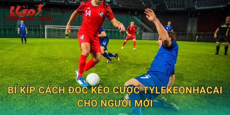 Bí kíp cách đọc kèo cược tylekeonhacai cho người mới