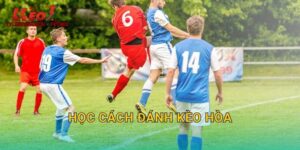 Học Cách Đánh Kèo Hòa: Khai Thác Tỷ Lệ Cao Tại Tylekeonhacai