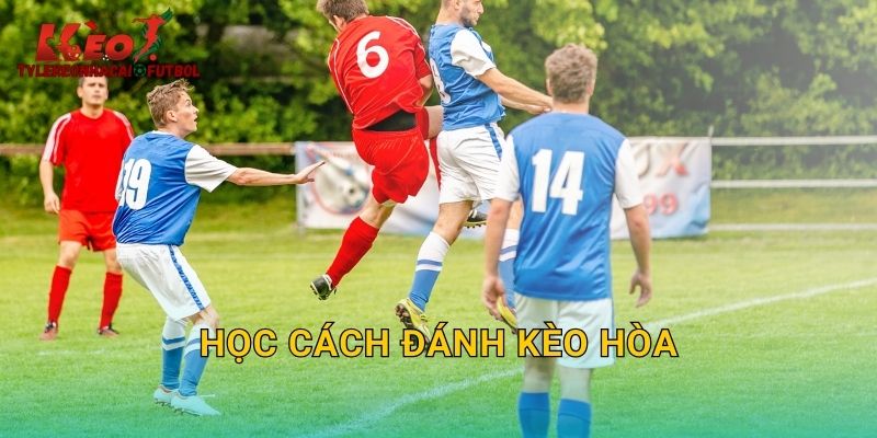 Học Cách Đánh Kèo Hòa: Khai Thác Tỷ Lệ Cao Tại Tylekeonhacai