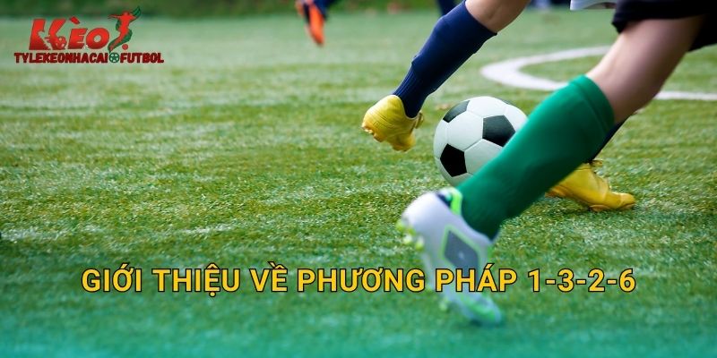 Giới thiệu về phương pháp 1-3-2-6