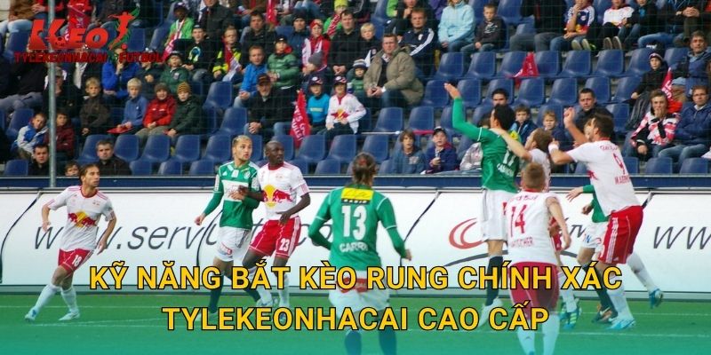 Kỹ năng bắt kèo rung chính xác tylekeonhacai cao cấp