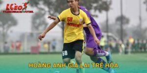 Hoàng Anh Gia Lai Trẻ Hóa Đội Hình: Chiến Lược Dài Hạn Thu Hút Tylekeonhacai