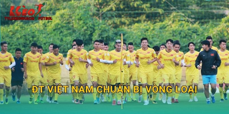 ĐT Việt Nam Chuẩn Bị Vòng Loại World Cup: Kỳ Vọng Mới Từ Tylekeonhacai