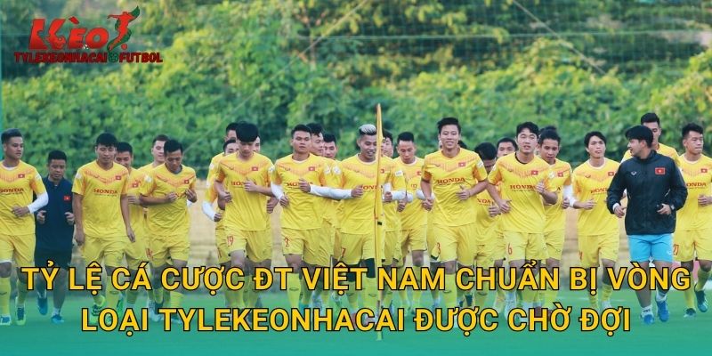 Tỷ lệ cá cược ĐT Việt Nam chuẩn bị vòng loại tylekeonhacai được chờ đợi